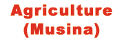 Agriculture (Musina)