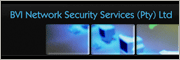 B V I Network Security Services t/a Netsec