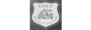 Colt Security Services