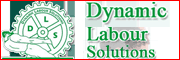 DYNAMIC LABOUR SOLUTIONS
