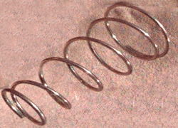 E E Tarr Springs