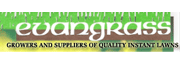 Evangrass