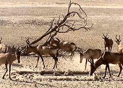 Garden Route National Park (Wilderness Section)