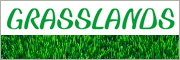 Grasslands Instant Lawns