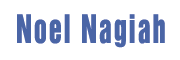 Noel Nagiah