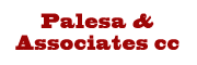 Palesa & Associates CC