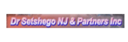 Setshego NJ & Partners Inc