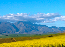 Theewaterskloof Municipality (Caledon)