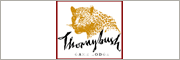 Thornybush Game Lodge