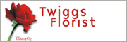 TWIGGS FLORIST